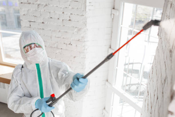 Best HVAC Mold Inspection and Cleaning  in Avilla, IN