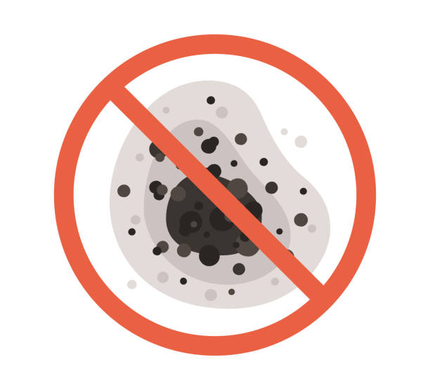 Best Residential Mold Inspection & Testing  in Avilla, IN
